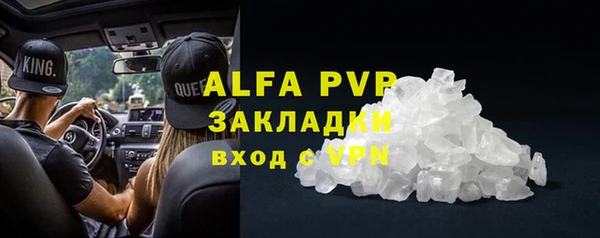 стафф Алзамай