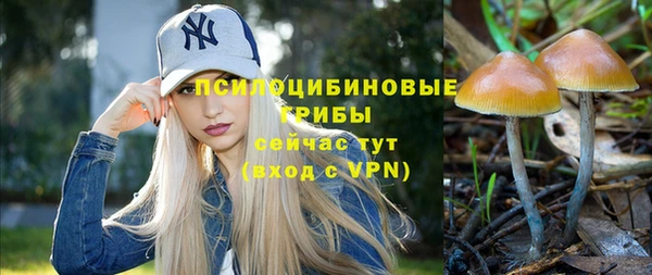 apvp Алексин