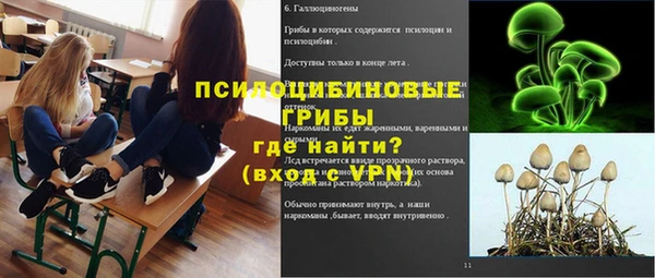 стафф Алзамай